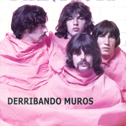 PINK FLOYD DERRIBANDO MUROS | SEBASTIAN DUARTE