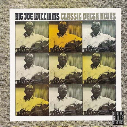 CLASSIC DELTA BLUES | BIG JOE WILLIAMS