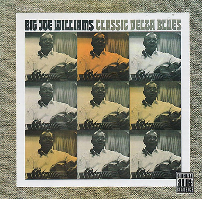 CLASSIC DELTA BLUES | BIG JOE WILLIAMS