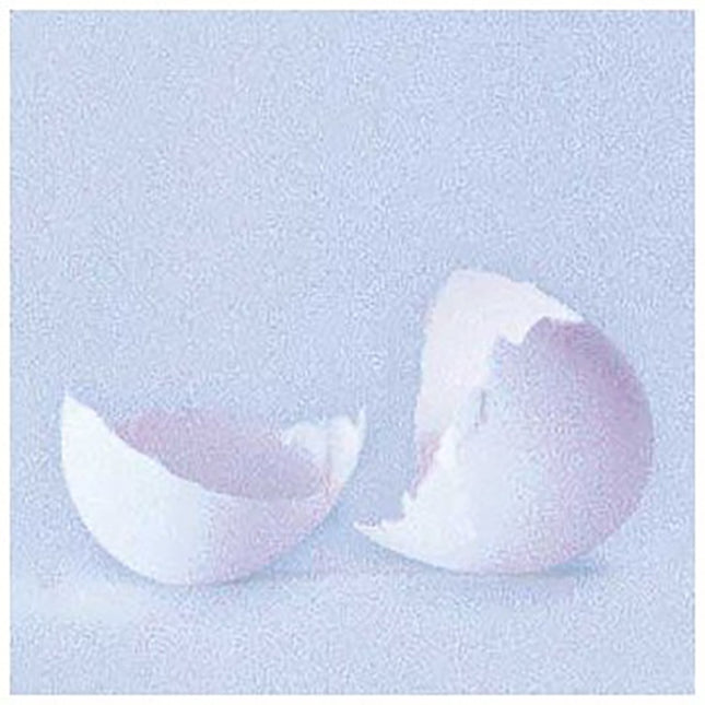 A GHOST IS BORN | WILCO