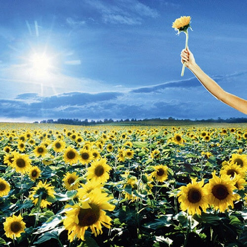 THANK YOU | STONE TEMPLE PILOTS