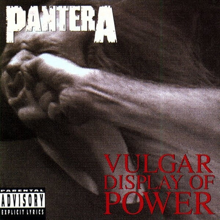 VULGAR DISPLAY OF POWER PANTERA | PANTERA