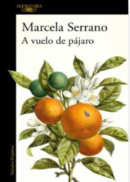 A VUELO DE PAJARO | MARCELA SERRANO