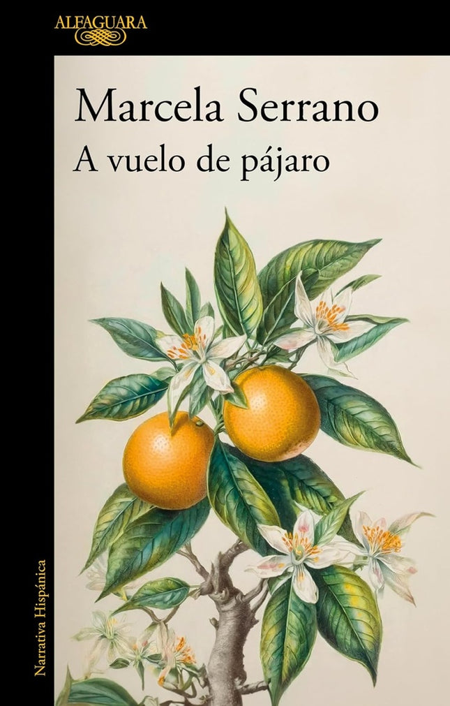 A VUELO DE PAJARO | MARCELA SERRANO
