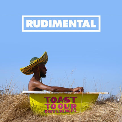 TOAST TOOUR DIFFERENCES | RUDIMENTAL