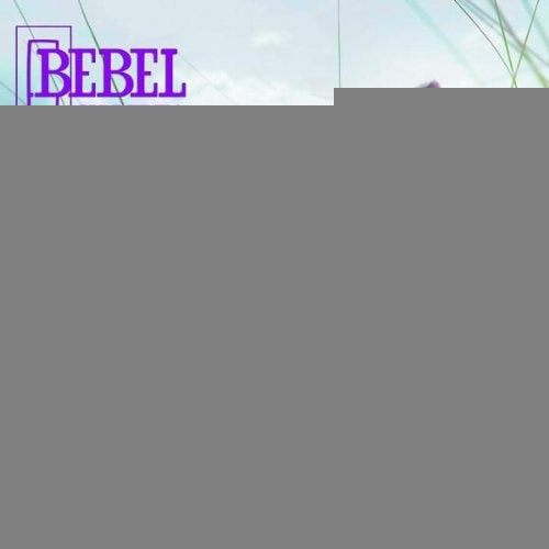 ALL IN ONE | BEBEL GILBERTO