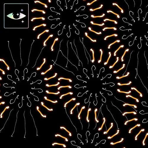 THE GOLDEN LIGHT | FITO PAEZ