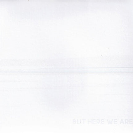 BUT HERE WE ARE | FOO FIGHTERS