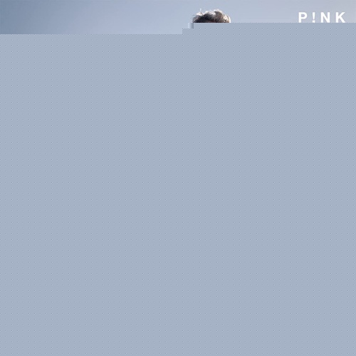 TRUSTFALL | PINK