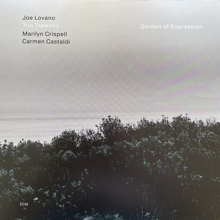 GARDEN OF EXPRESSION | LOVANO, TAPESTRY y otros