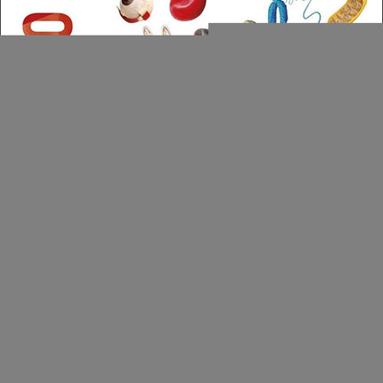 CUERPO HUMANO | DORLING KINDERSLEY (DK)