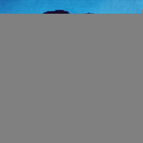 MONSTER 25th ANNIVERSARY (180GRAM) | R.E.M