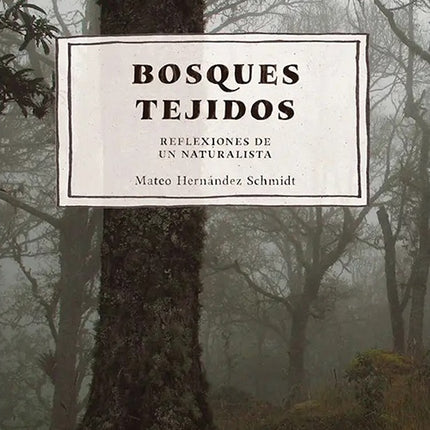 BOSQUES TEJIDOS | MATEO HERNANDEZ SCHMIDT