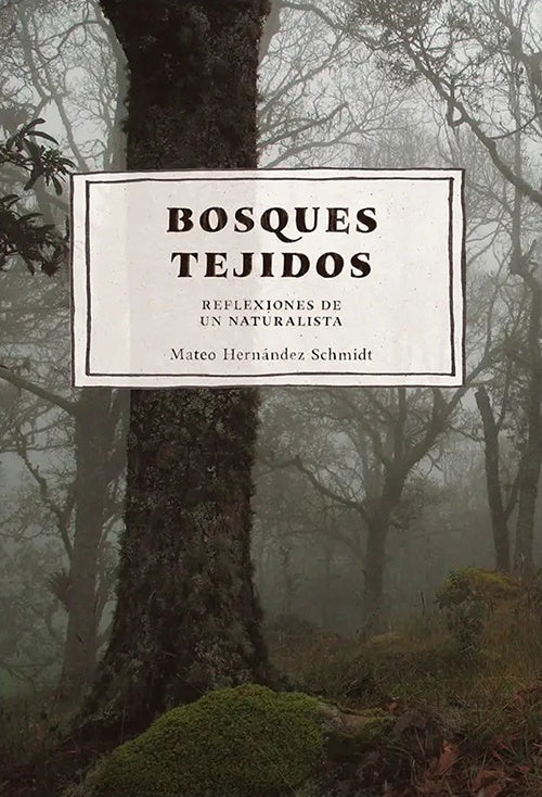 BOSQUES TEJIDOS | MATEO HERNANDEZ SCHMIDT
