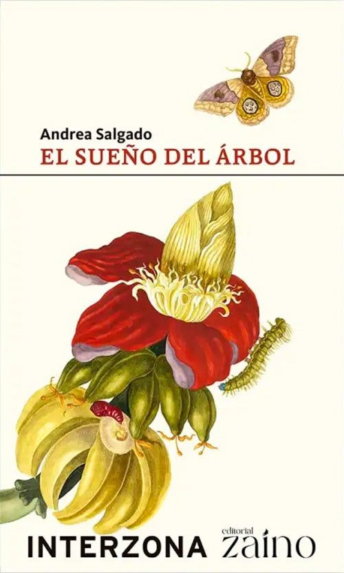 SUEÑO DEL ARBOL, EL | ANDREA SALGADO