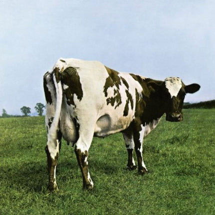 ATOM HEART MOTHER | PINK FLOYD