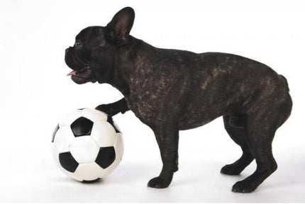 FOR THE LOVE OF DOGS | KATHARINA VON DER LEYEN