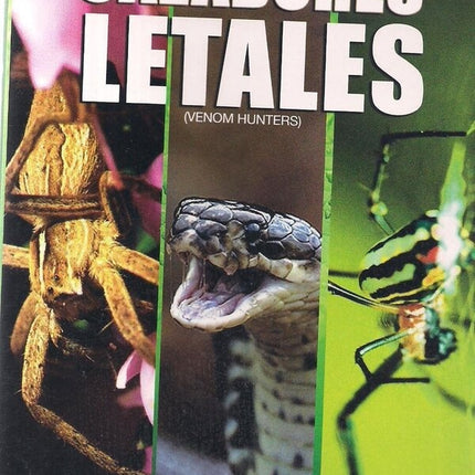CAZADORES LETALES | AUTORES VARIOS