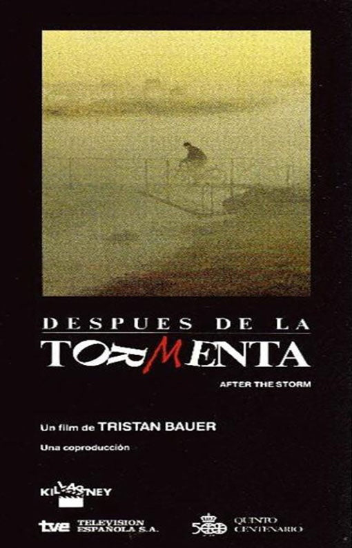 DESPUES DE LA TORMENTA | AUTORES VARIOS