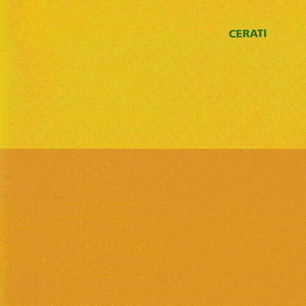 AMOR AMARILLO | GUSTAVO CERATI