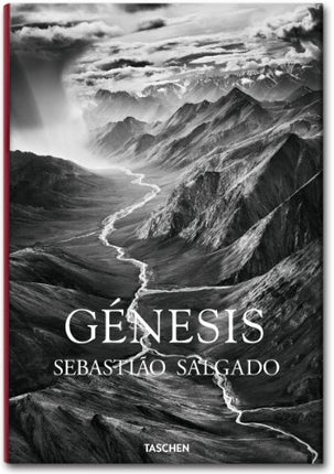 GENESIS | LELIA WANICK SALGADO
