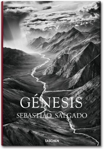GENESIS | LELIA WANICK SALGADO
