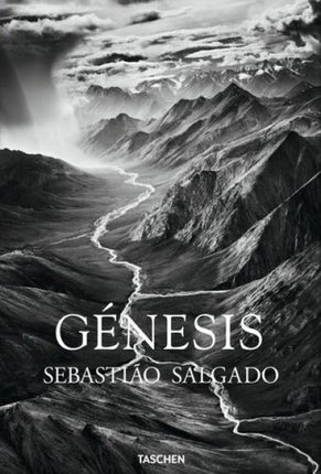 GENESIS | LELIA WANICK SALGADO