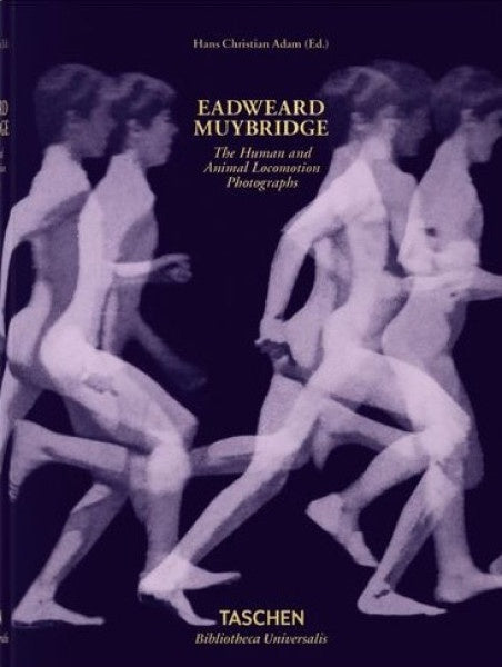 EADWEARD MUYBRIDGE | HANS CHRISTIAN ADAM