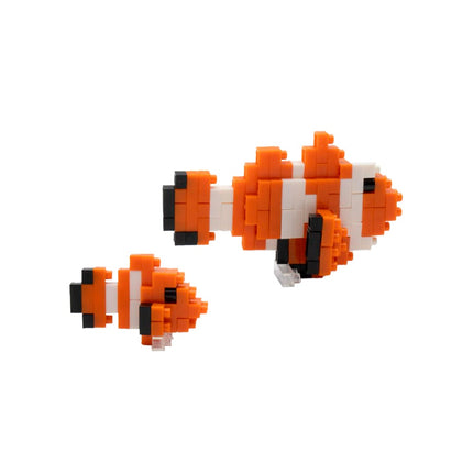 CLOWN FISH