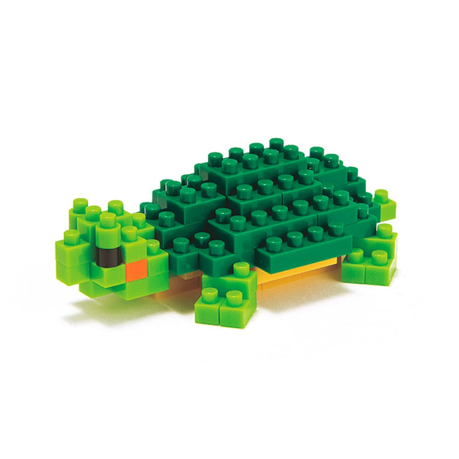 RED-EARED SLIDER (M)