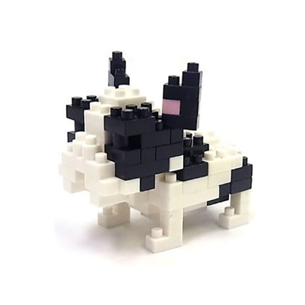 FRENCH BULLDOG PIDE