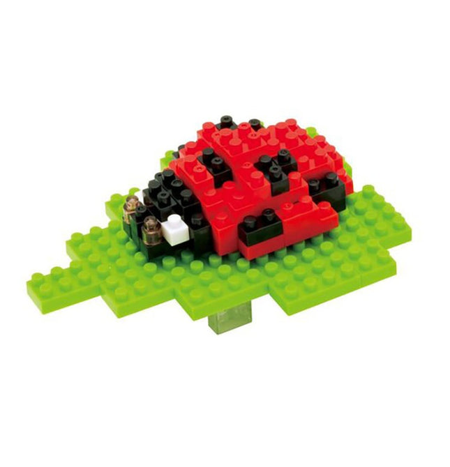 SEVEN-SPOT LADYBIRD