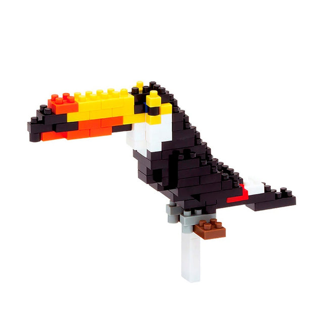 TOCO TOUCAN