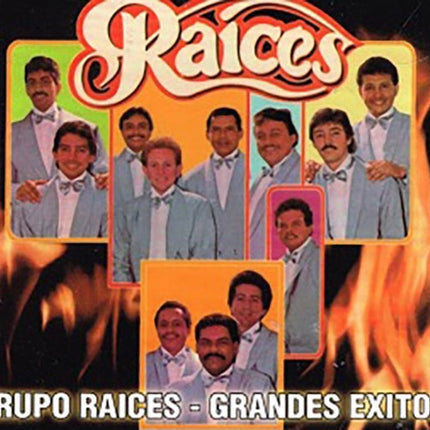 GRANDES EXITOS | GRUPO RAICES