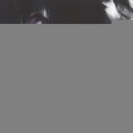 LIVE ON TEN LEGS | PEARL JAM