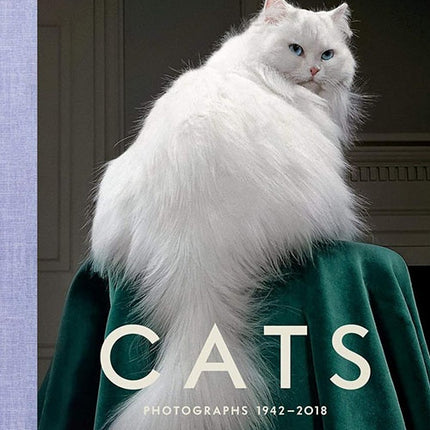 CATS PHOTOGRAPHS 1942-2018 | WALTER CHANDOHA