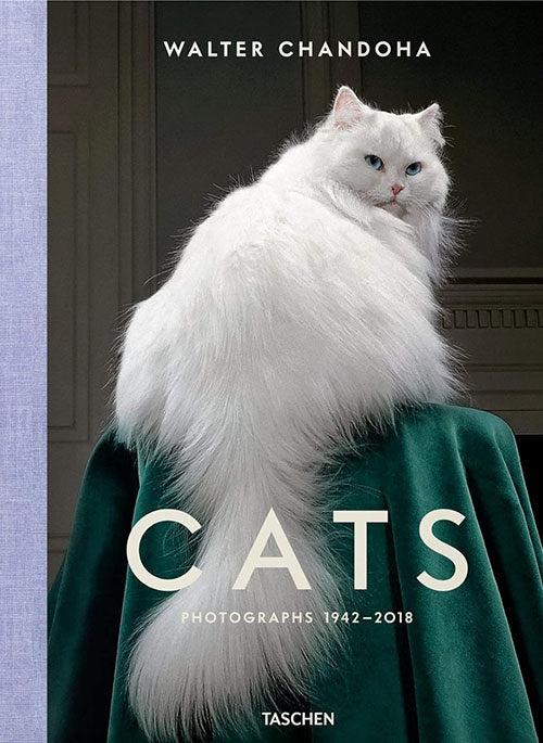 CATS PHOTOGRAPHS 1942-2018 | WALTER CHANDOHA