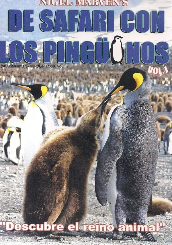 DE SAFARI CON LOS PINGUINOS | AUTORES VARIOS