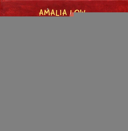 FLAMENCO CALVO Y LOS CAZADORES DE AVES, EL | AMALIA LOW