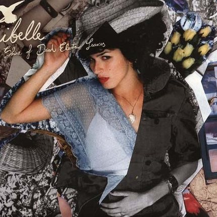 THE SHINE OF DRIED ELECTRIC LEAVES | GIBELLE