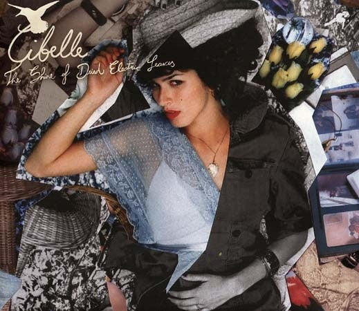 THE SHINE OF DRIED ELECTRIC LEAVES | GIBELLE