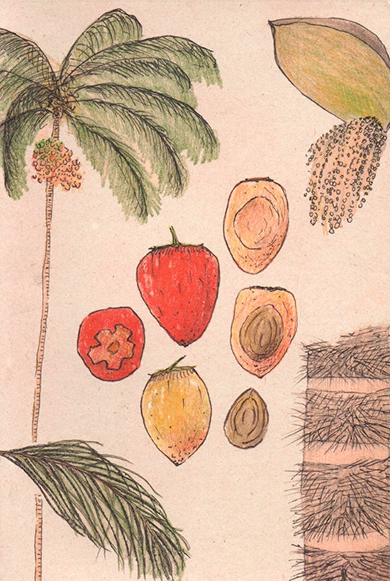 CUADERNO CHONTADURO GRANDE PUNTOS | LAURA ARANGO URIBE