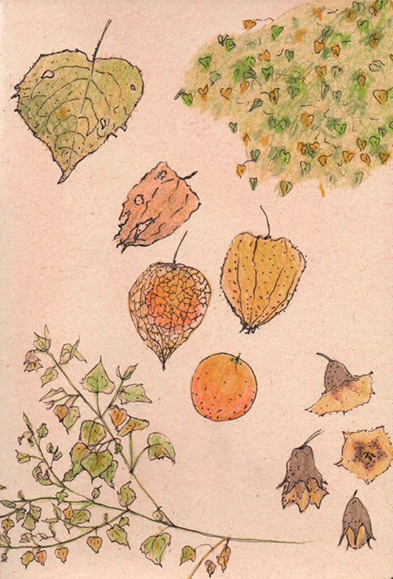 CUADERNO UCHUVA GRANDE PUNTOS | LAURA ARANGO URIBE