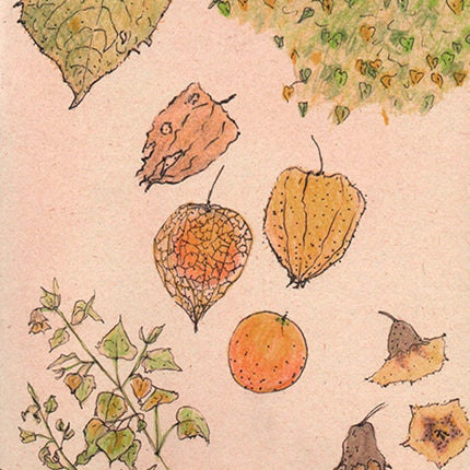 CUADERNO UCHUVA GRANDE PUNTOS | LAURA ARANGO URIBE