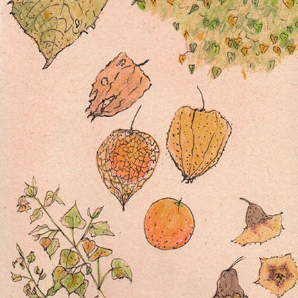 CUADERNO UCHUVA GRANDE PUNTOS | LAURA ARANGO URIBE