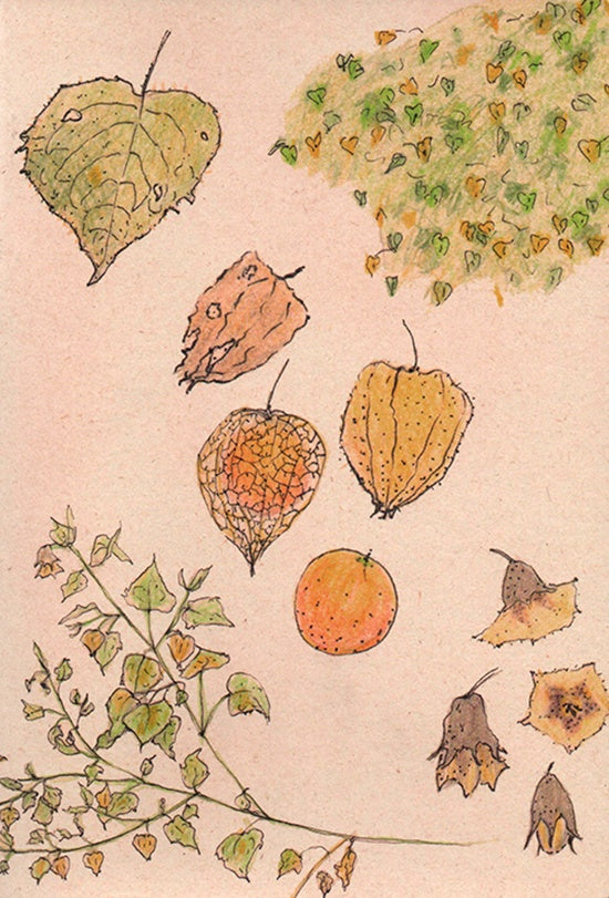 CUADERNO UCHUVA GRANDE PUNTOS | LAURA ARANGO URIBE