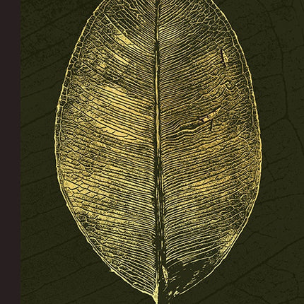 LA VORAGINE | JOSE EUSTASIO RIVERA