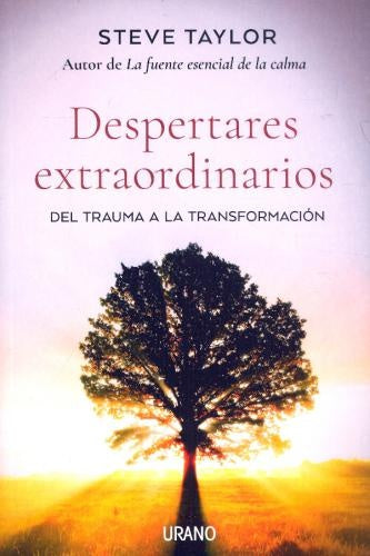 DESPERTARES EXTRAORDINARIOS | STEVE TAYLOR