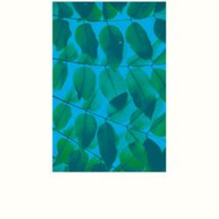 BAJO EL ARBOL DE TORAYA | PHILIPPE CLAUDEL