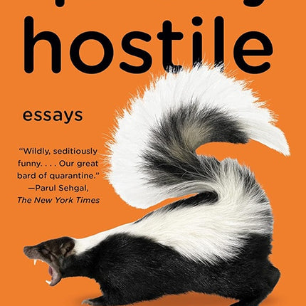 QUIETLY HOSTILE | SAMANTHA IRBY